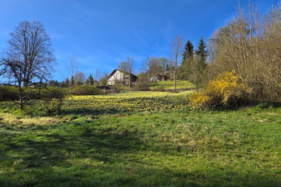 Location saisonnière Gérardmer