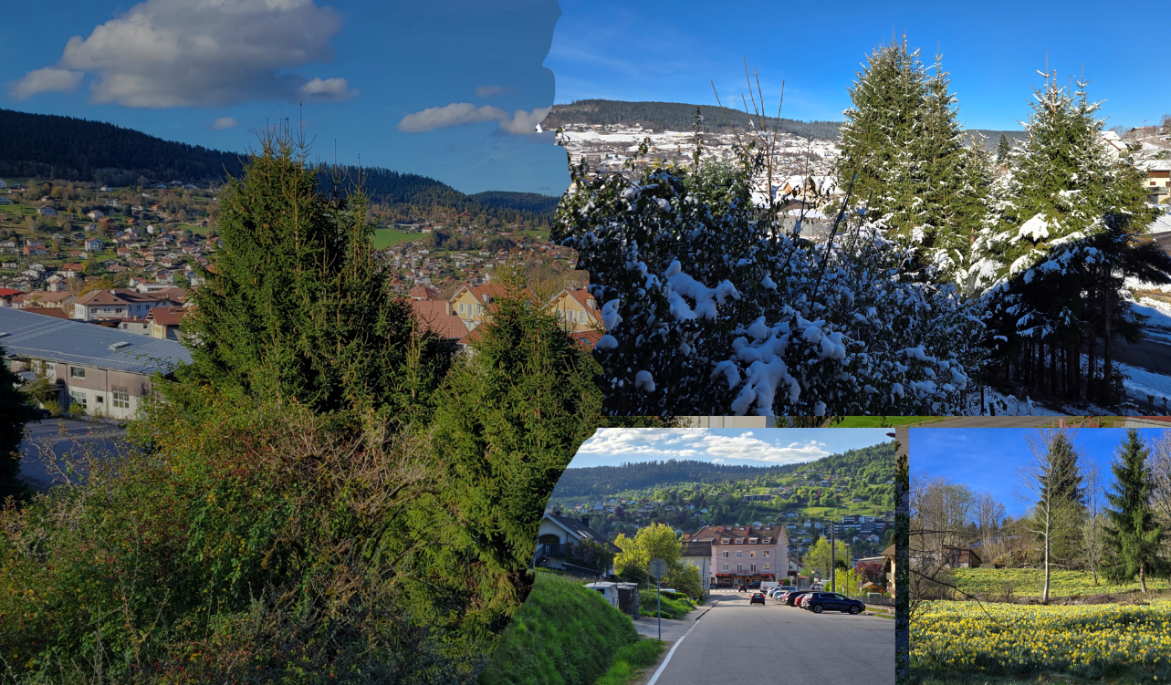 Chalets des Privilèges - Location saisonnière haut de gamme à Gérardmer